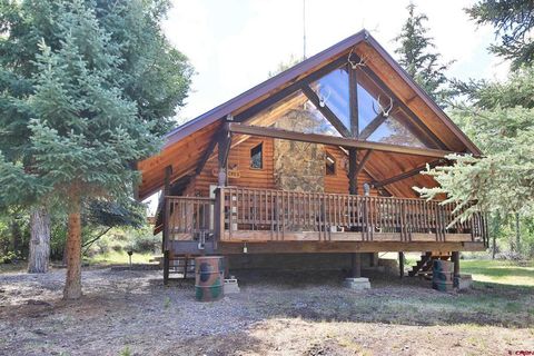 9681 56 2/10 Road Molina CO 81646