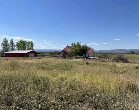 32116 Highway 145 Redvale CO 81431