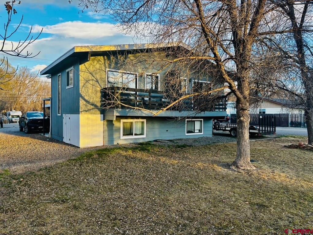 217 Rich 217 and 219