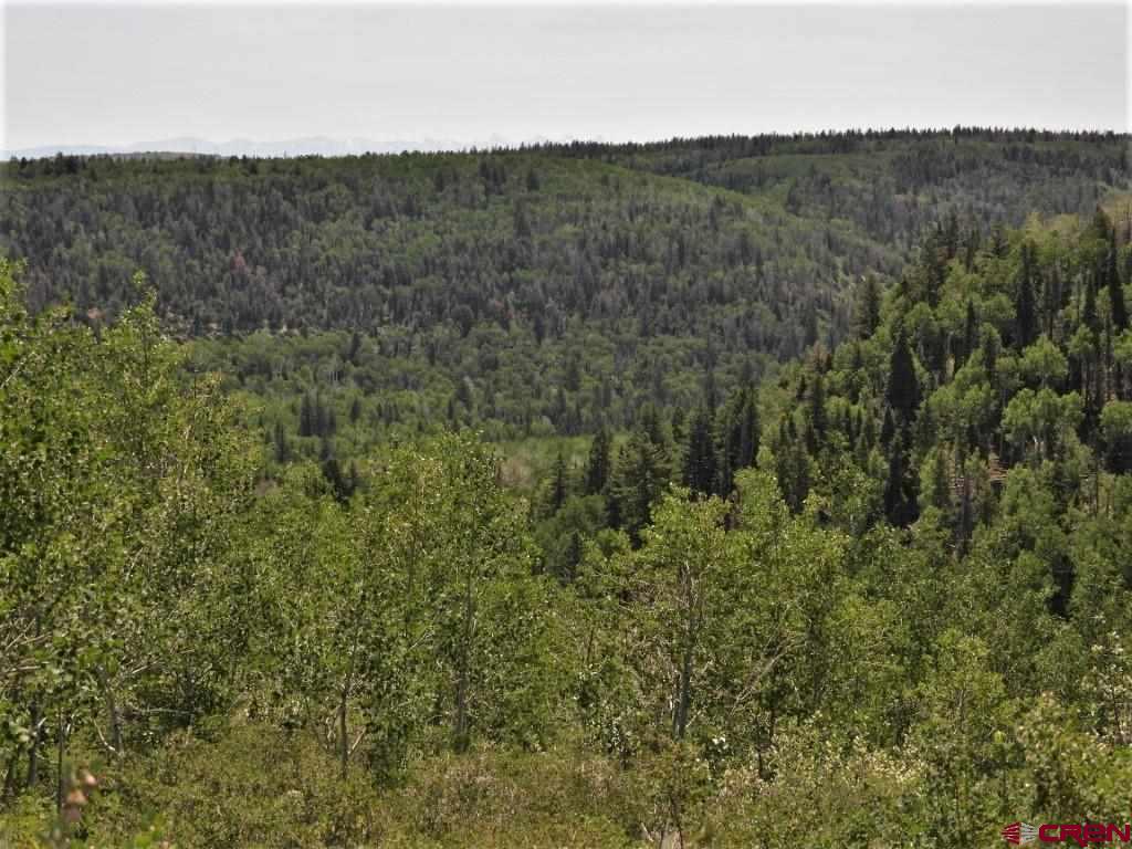 TBD Transfer Road