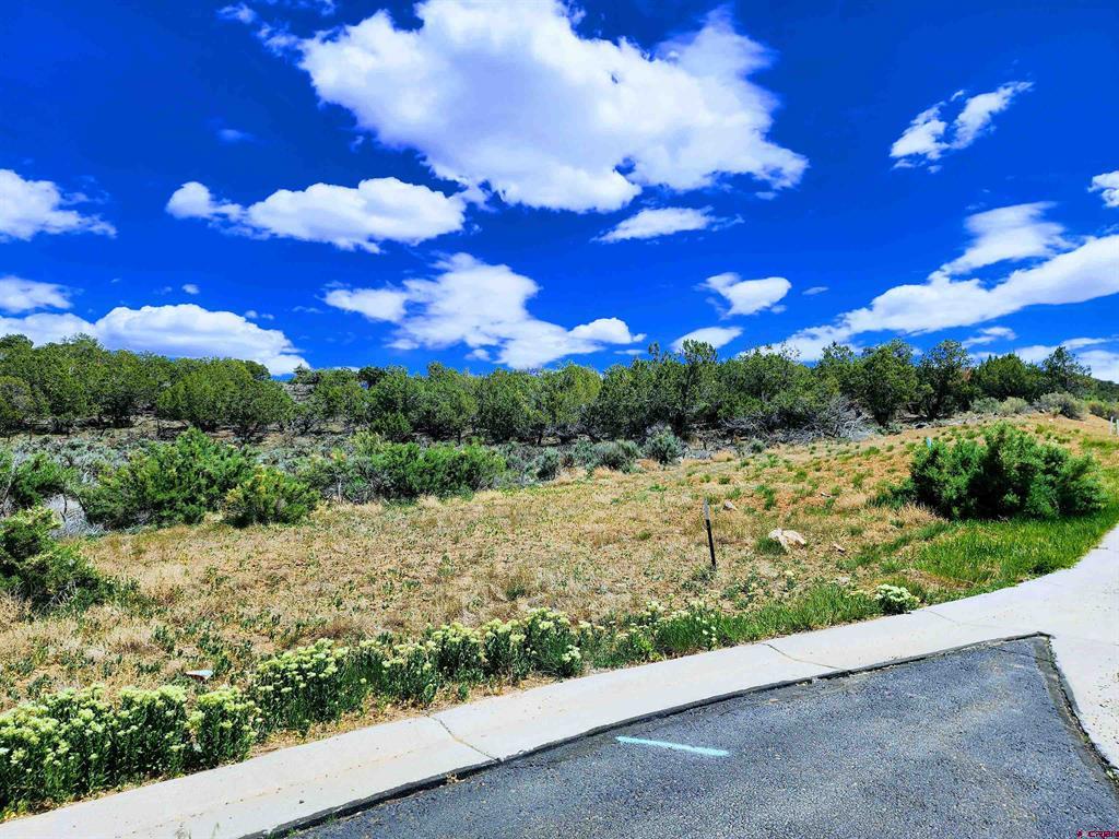 Photo 1 of 18 — 605 & 615 SE Pine Street, Cedaredge, CO 81413