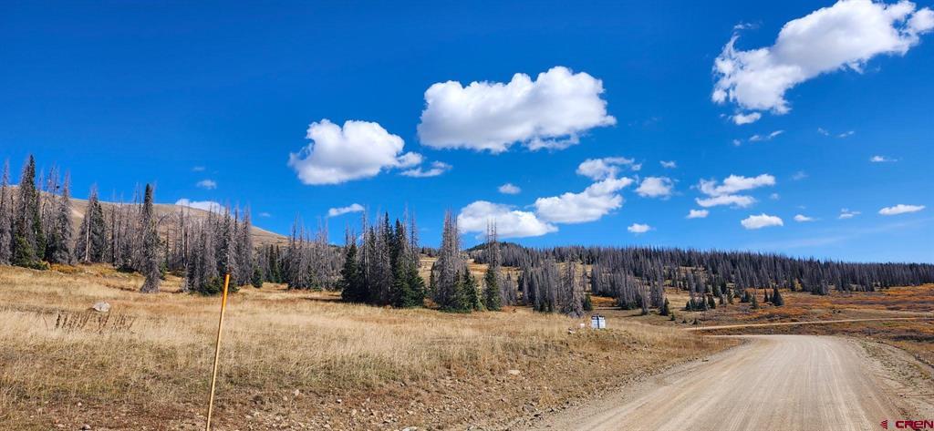 TBD Forest Service Road 330