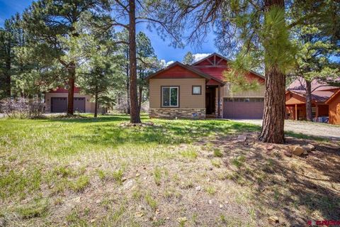 351 Twincreek Circle Pagosa Springs CO 81147