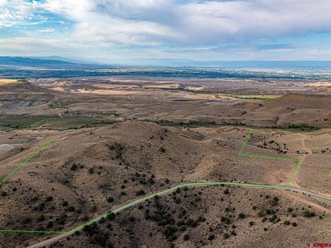 Lot 8 Oak Creek Road Eckert CO 81418
