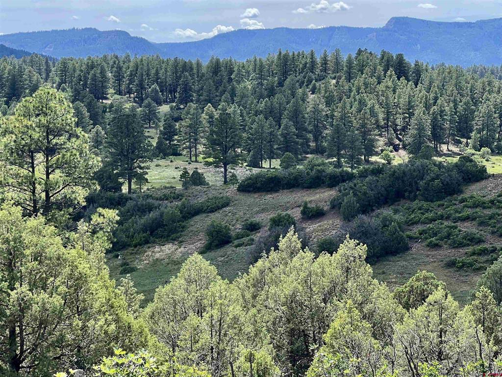 6221 US 84 Highway 5 Peaks Ranch