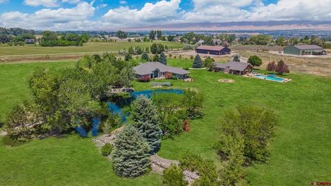 18222 6300 Road Montrose CO 81403