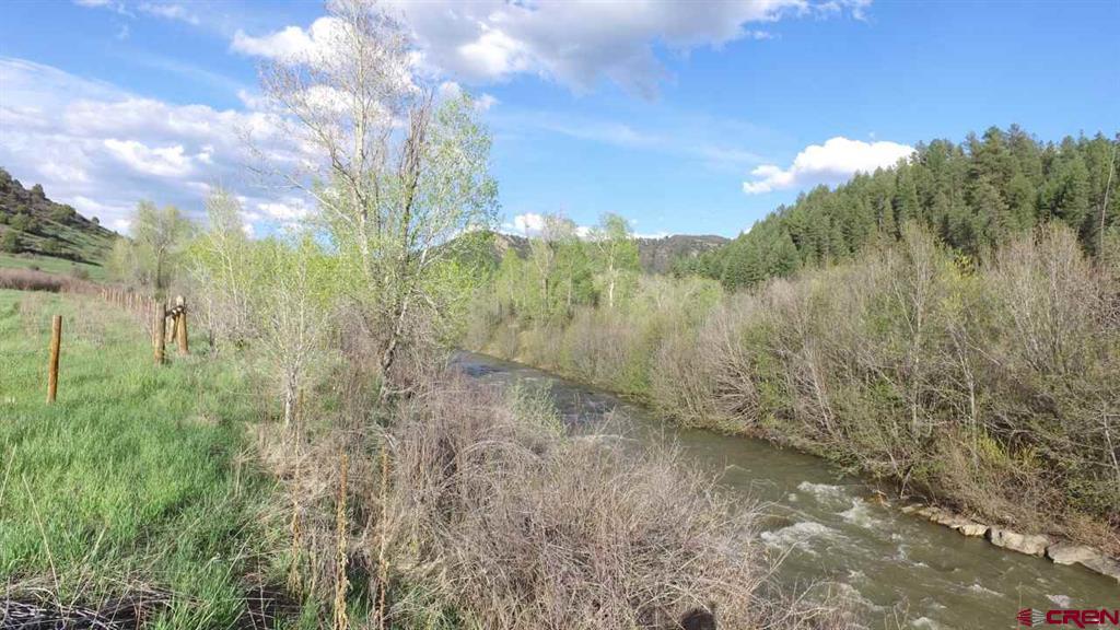 546 County Road 335
