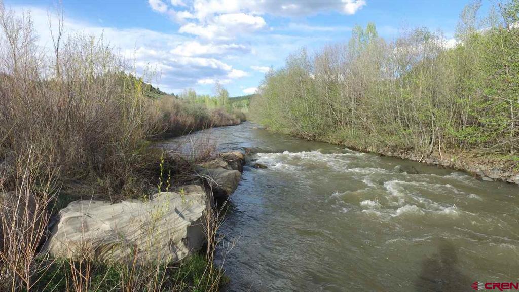 546 County Road 335