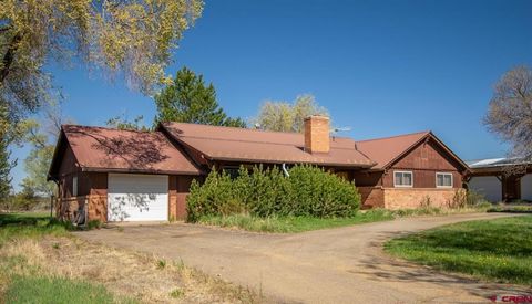 793 County Road 104 Hesperus CO 81326