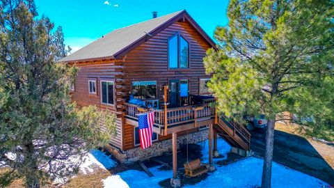 Photo of 865 S Pagosa Boulevard, Pagosa Springs, CO 81147 (MLS # 832168)