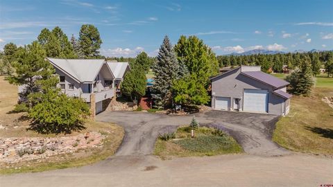 440 Carlee Place Pagosa Springs CO 81147
