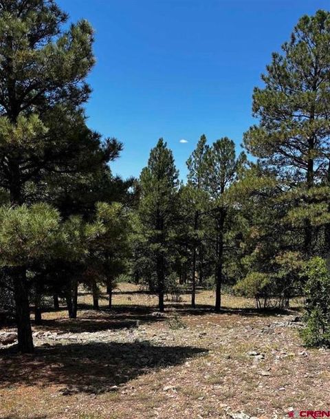 124 Woodridge Circle Pagosa Springs CO 81147