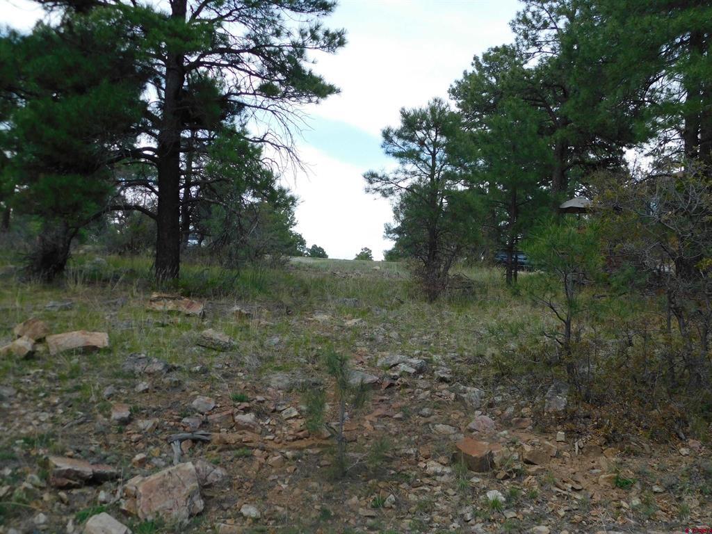 Photo 1 of 8 — 49 Masters Circle, Pagosa Springs, CO 81147