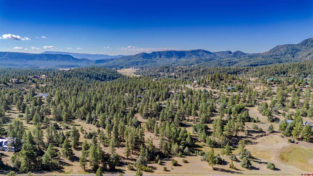 3169 Meadows Drive