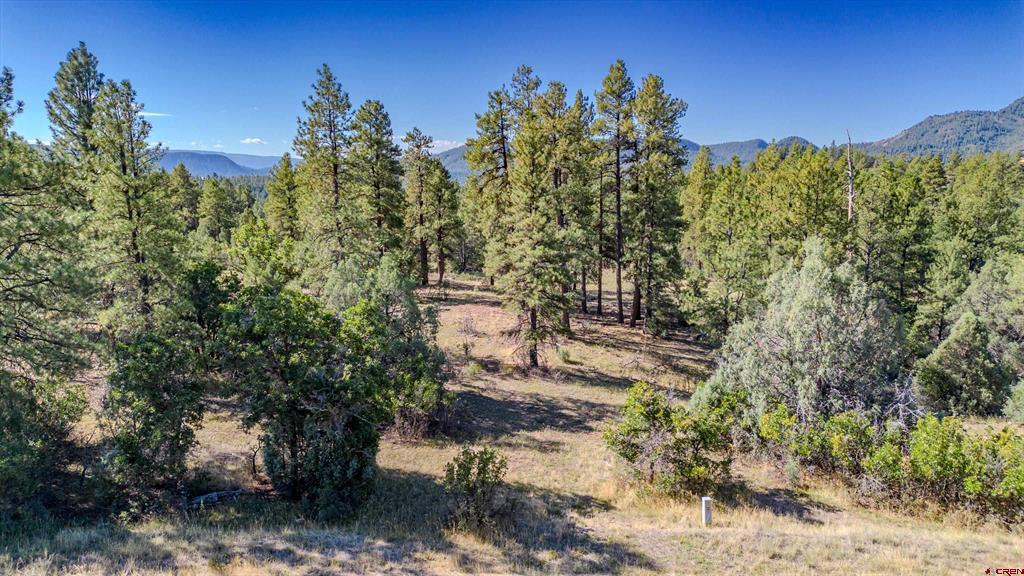 3169 Meadows Drive