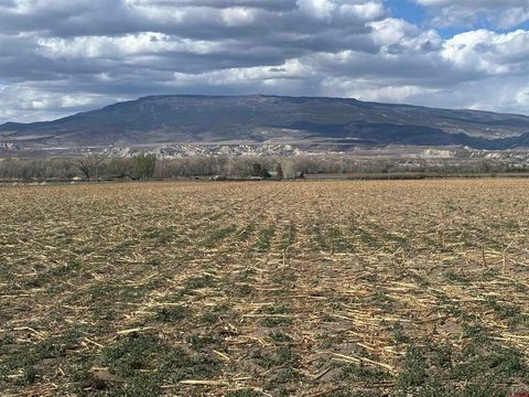 Photo of TBD Sawmill Mesa Road, Delta, CO 81416 (MLS # 833876)