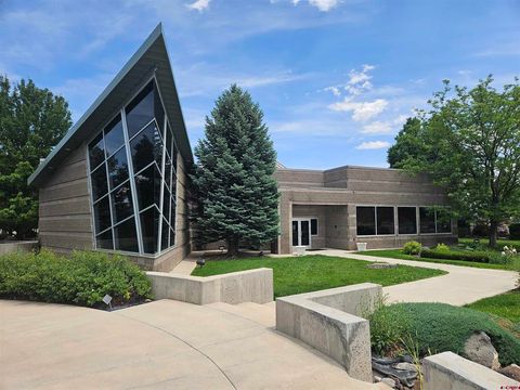 3684 N Townsend Avenue Montrose CO 81401