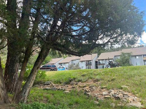 34237 N Highway 550 27 Durango CO 81301