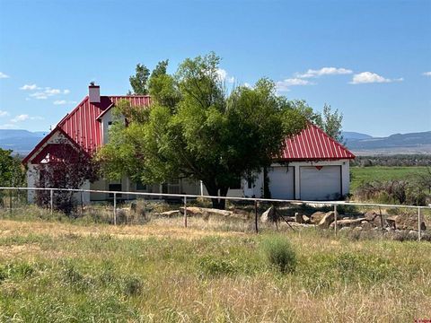 Photo of 32116 Highway 145, Redvale, CO 81431 (MLS # 827710)
