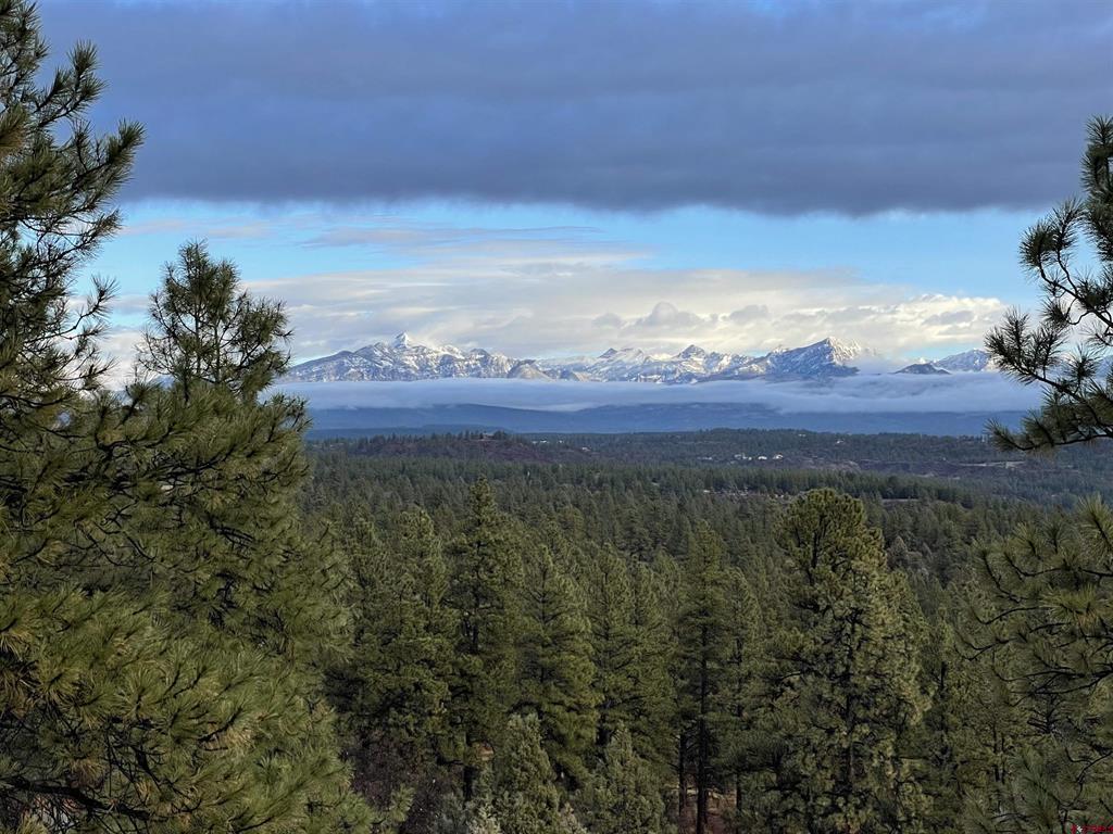 2570 S Pagosa Boulevard