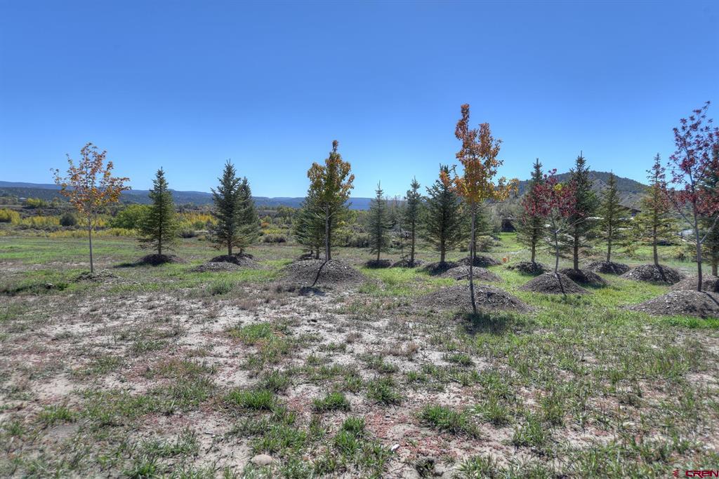 Durango, Colorado, 81303, United States, 3 Bedrooms Bedrooms, ,2 BathroomsBathrooms,Residential,Active,2023354