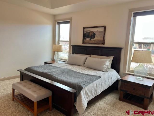 Montrose, Colorado 81401, United States, 3 Bedrooms Bedrooms, ,2 BathroomsBathrooms,Residential,Active,10554