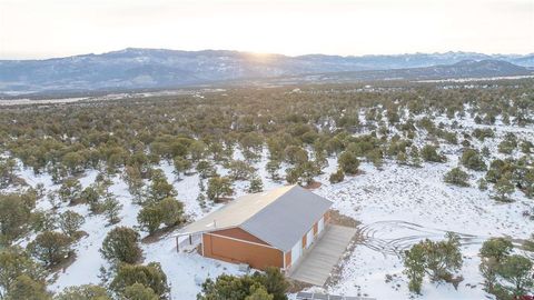 Photo of 1893 Cotton Road, Montrose, CO 81403 (MLS # 832094)