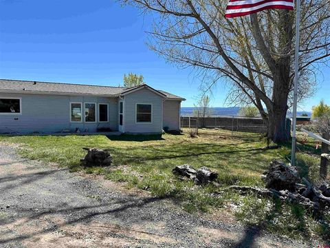 Photo of 12880 2900 Road, Hotchkiss, CO 81419 (MLS # 833354)