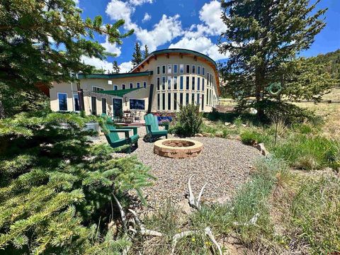 1441 Forest Road 507 1A Creede CO 81130