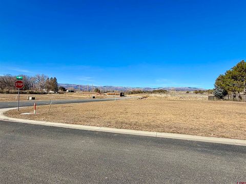 Photo of 505 SE Pine Street, Cedaredge, CO 81413 (MLS # 831464)
