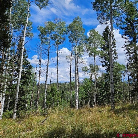 Photo of 604 Snowshoe Lane, Cimarron, CO 81220 (MLS # 839055)