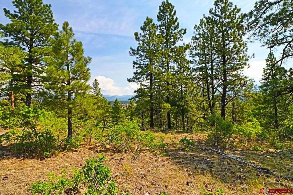 2626 S Pagosa Boulevard