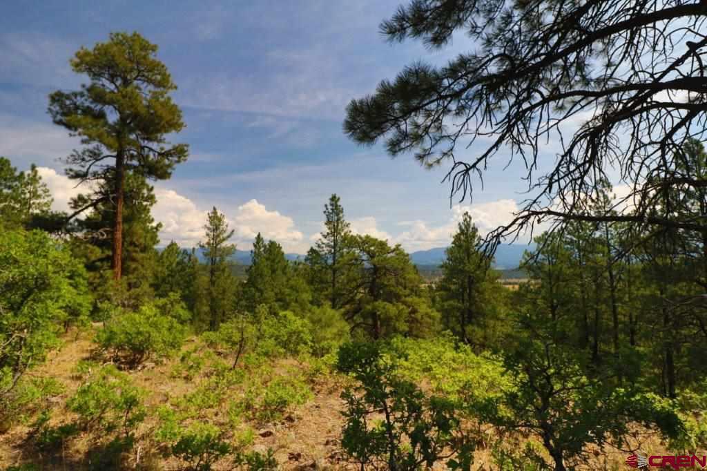 2626 S Pagosa Boulevard