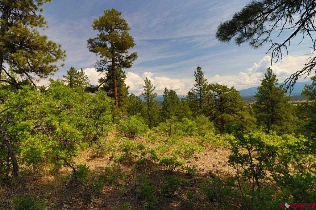 2626 S Pagosa Boulevard