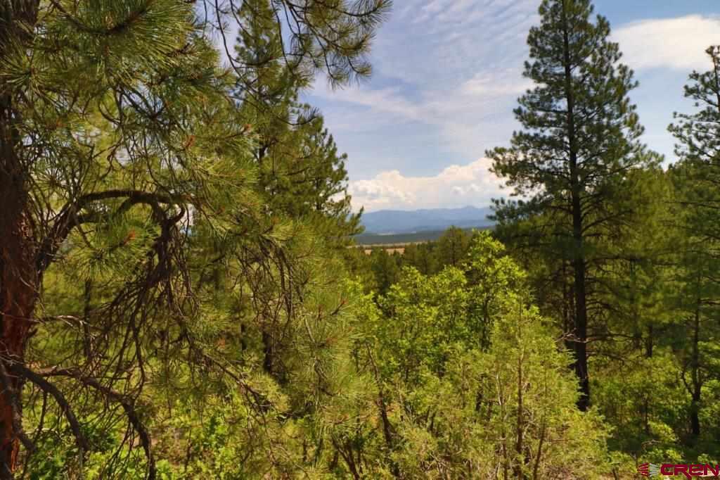 2626 S Pagosa Boulevard