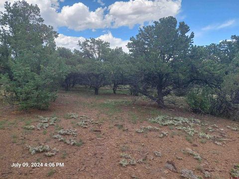 201 and 225 Sunrise Rd South Fork CO 81154