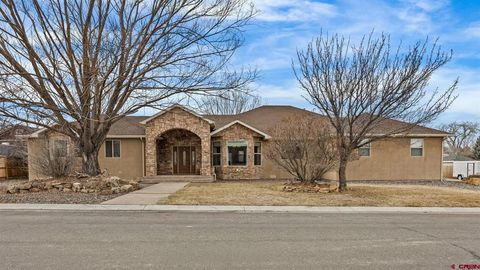 66350 Crestview Drive Montrose CO 81403