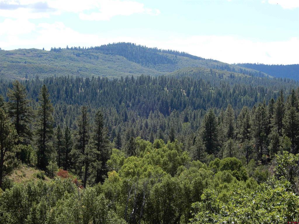 775 Banded Peaks Drive