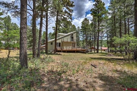 Photo of 46 Carefree Place, Pagosa Springs, CO 81147 (MLS # 832144)