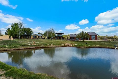 27778 Road P Dolores CO 81323