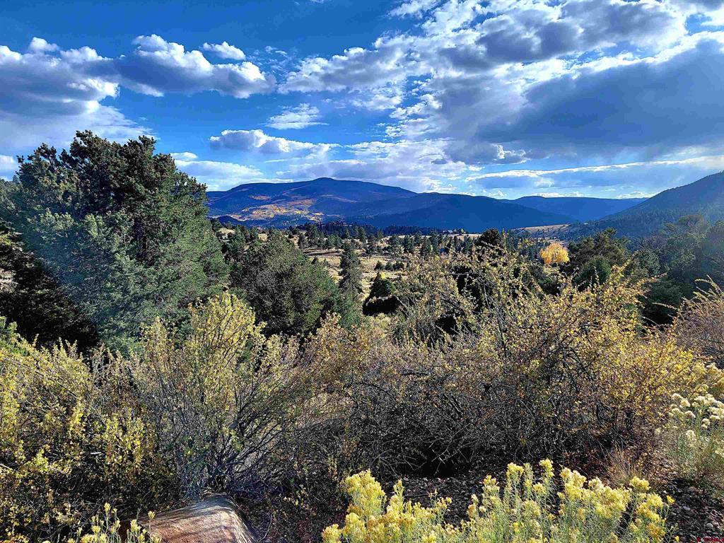 Photo 1 of 19 — 3075 Bear Creek Circle, South Fork, CO 81154