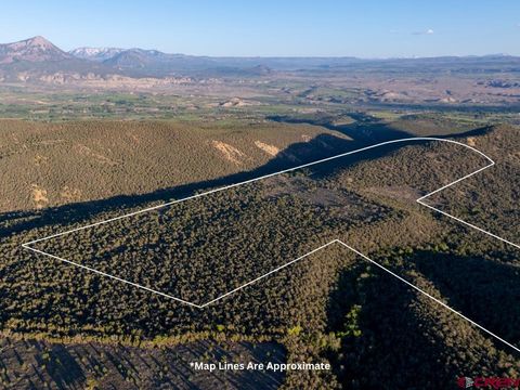 TBD Mystic Mesa Rd Road Hotchkiss CO 81419