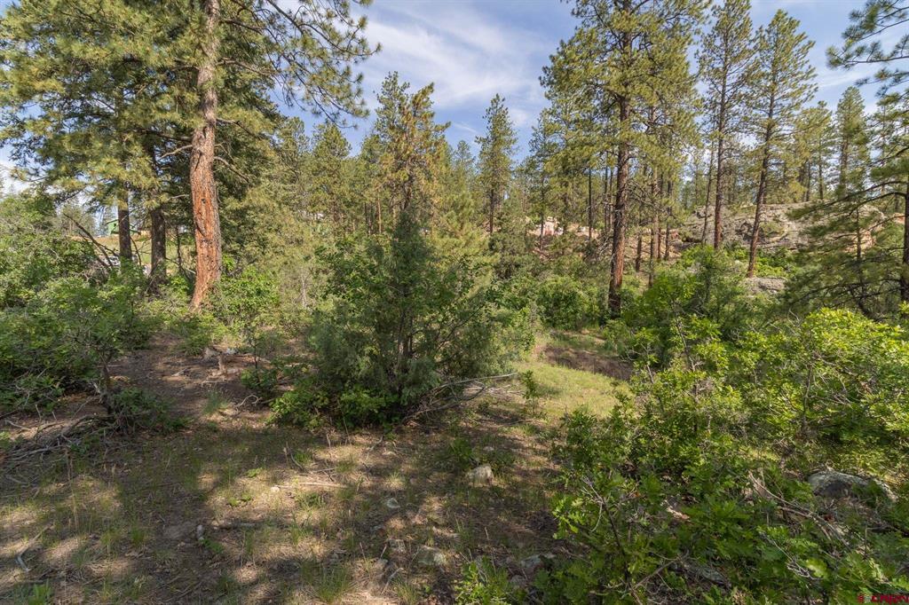 102 Red Canyon Court