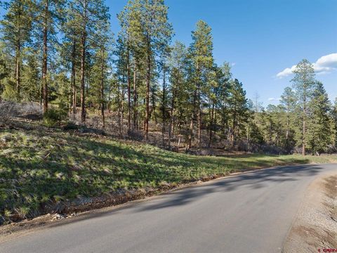 102 Red Canyon Court Durango CO 81301