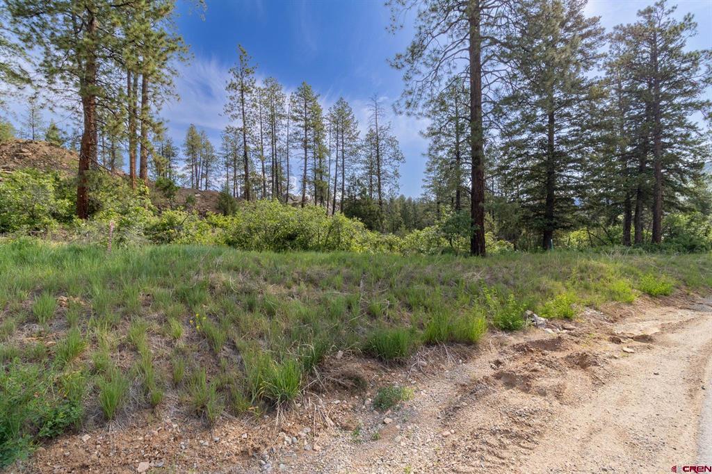 102 Red Canyon Court