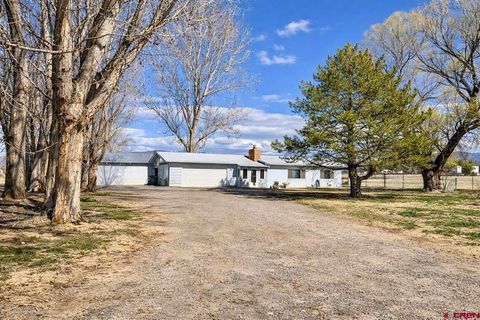 Photo of 20795 Vista Grande Drive, Austin, CO 81410 (MLS # 832440)