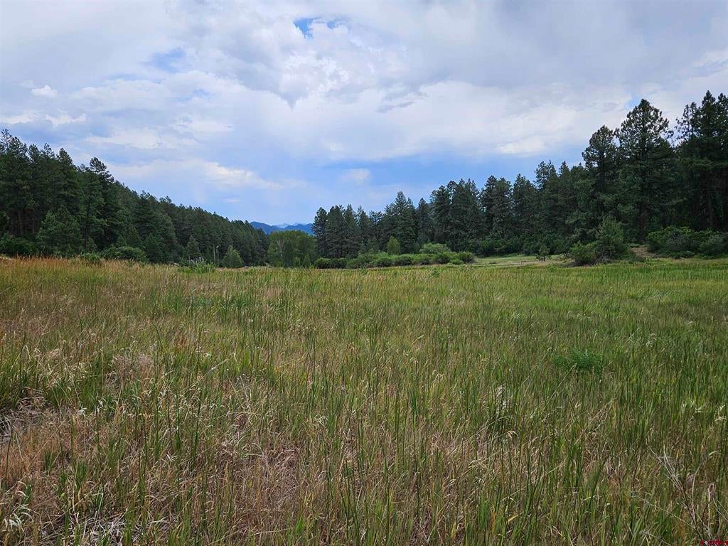 2028 County Road 245