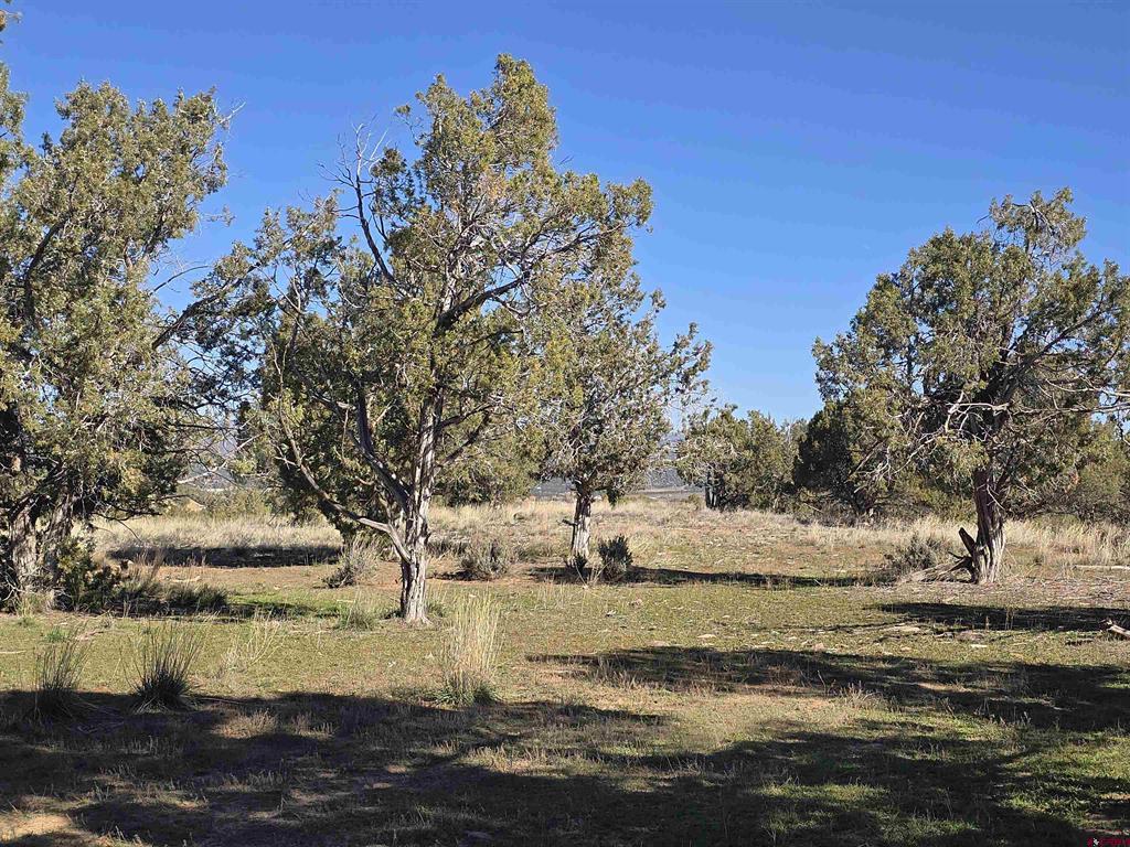 100 & 110 Wrangler Way