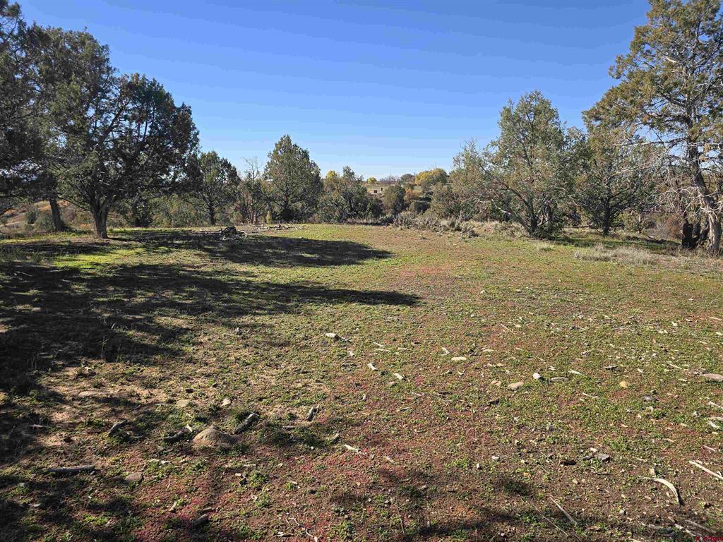 100 & 110 Wrangler Way