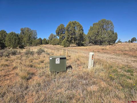 100 & 110 Wrangler Way Durango CO 81303